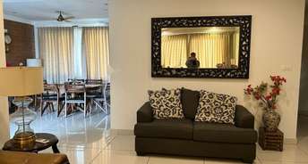 3.5 BHK Apartment For Rent in Prestige Lakeside Habitat Whitefield Bangalore 6757431