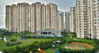 3 BHK Apartment For Resale in Paramount Floraville Sector 137 Noida 6757575