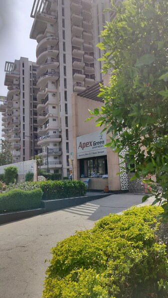 4 BHK Apartment For Resale in Apex Green Sector 8 Sonipat  6757881