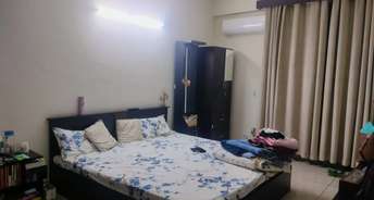 2 BHK Apartment For Rent in Ansal Sushant Apartments Sushant Lok Gurgaon 6757917