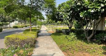  Plot For Resale in Sector 38 Gurgaon 6758139