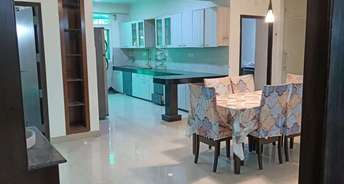 3 BHK Independent House For Rent in Noida Central Noida 6758175