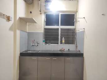 1 BHK Apartment For Rent in Green Meadows Bluilding 2 Chs Ltd Kandivali East Mumbai  6758162