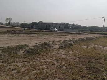  Plot For Resale in Yex Sector 19 Greater Noida 6758558