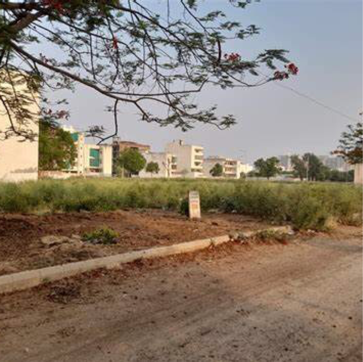 Plot For Resale in Faridabad Central Faridabad  6758723