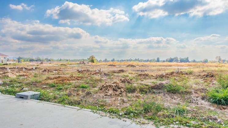 100 Sq.Yd. Plot in Sector 124 Mohali