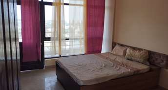 3 BHK Apartment For Rent in TDI City Kingsbury Kundli Sonipat 6759318
