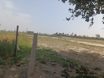 Plot For Resale in Chhota Anangpur Faridabad  6759653