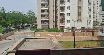 3 BHK Apartment For Rent in Sector 80 Faridabad 6760002