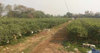 Plot For Resale in Hirapur Raipur 6760219