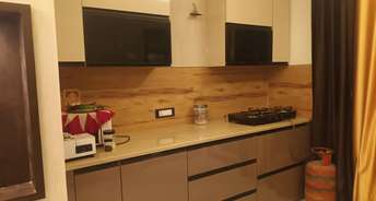 3.5 BHK Apartment For Rent in Sector 5 Hisar 6760707
