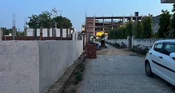  Plot For Resale in Sector 73 Gurgaon 5179089