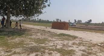 Plot For Resale in Charmwood Village Faridabad 6760825