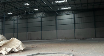 Commercial Warehouse 5000 Sq.Ft. For Rent In Wazirabad Gurgaon 6760869