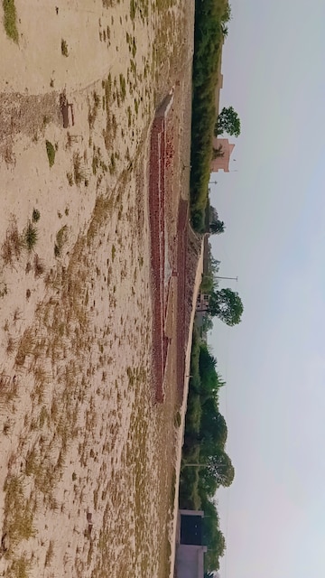 Plot For Resale in Kapra Colony Faridabad  6760972