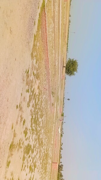 Plot For Resale in Kapra Colony Faridabad  6760972