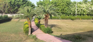 Plot For Resale in Jewar Greater Noida  6761036