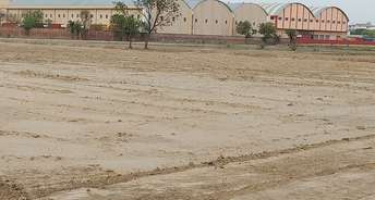 Commercial Land 605 Sq.Yd. For Resale In Sikri Faridabad 6761067