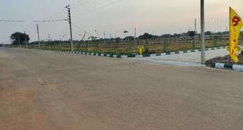  Plot For Resale in True Fortune Commercial Sadashivpet Hyderabad 6761221