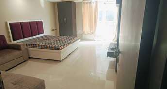 Studio Apartment For Rent in Ansal API Esencia Sector 67 Gurgaon 6761643