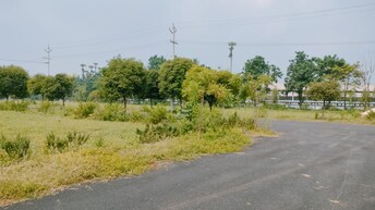 Plot For Resale in Bhogapuram Vizag  6761898