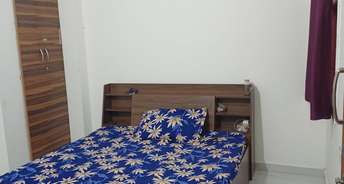 1 BHK Apartment For Rent in Ayaan JKV Miracle Bakhshi Ka Talab Lucknow 6762190