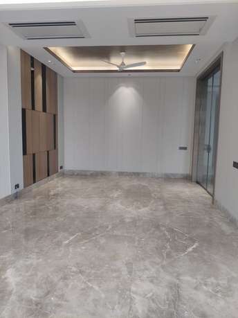 4 BHK Builder Floor For Resale in RWA Green Park Green Park Delhi 6762217