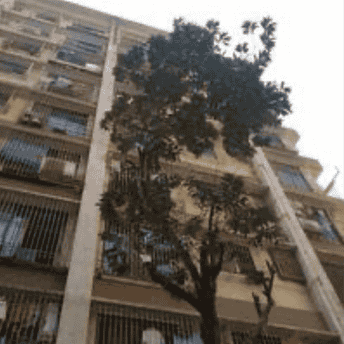 2 BHK Apartment For Rent in Andheri West Mumbai  6762717