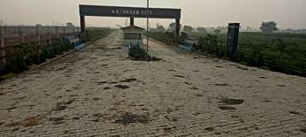  Plot For Resale in Jhusi Allahabad 6762897