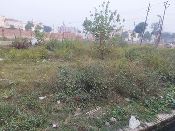 Plot For Resale in Buddhi Vihar Moradabad  6762930