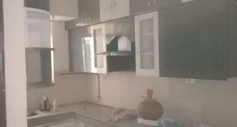 2 BHK Apartment For Rent in Supertech Ecociti Sector 137 Noida 6763390