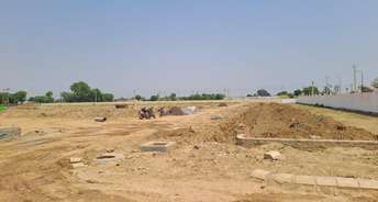  Plot For Resale in Sector 98 Faridabad 6764031