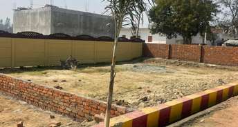  Plot For Resale in Bakhshi Ka Talab Lucknow 6764504