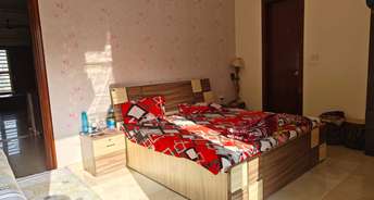 3 BHK Builder Floor For Rent in Vipul World Plots Sector 48 Gurgaon 6765081