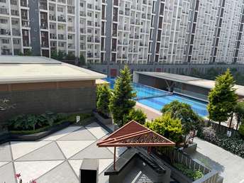3 BHK Apartment For Rent in Godrej 24 Hinjewadi Pune 6765208