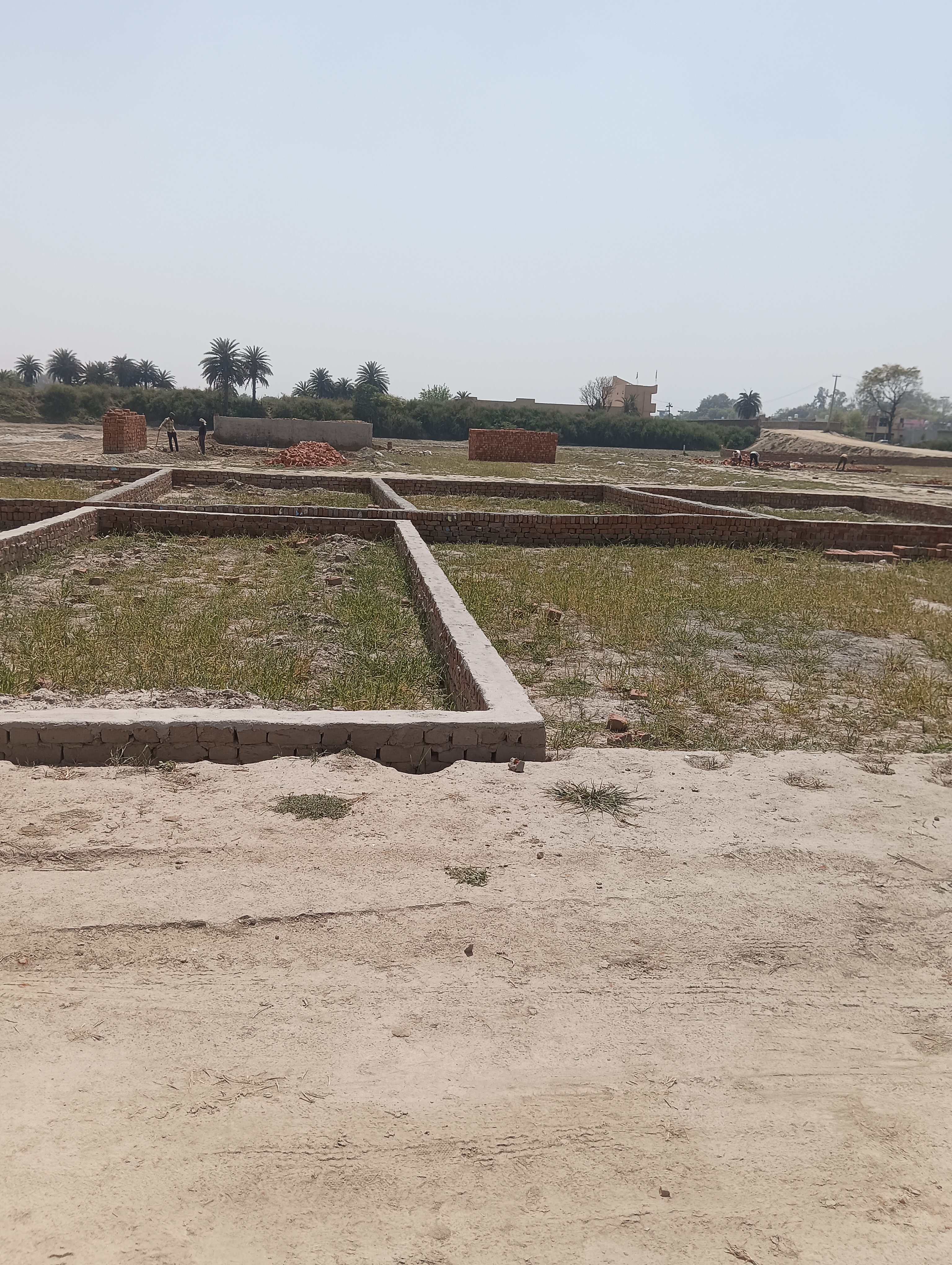 Resale 250 Sq.Yd. Plot in Fruit Garden Faridabad 6765464
