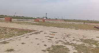  Plot For Resale in Indraprastha Colony Faridabad 6765525