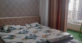2 BHK Apartment For Rent in Sam Palm olympia Noida Ext Sector 16c Greater Noida 6765539