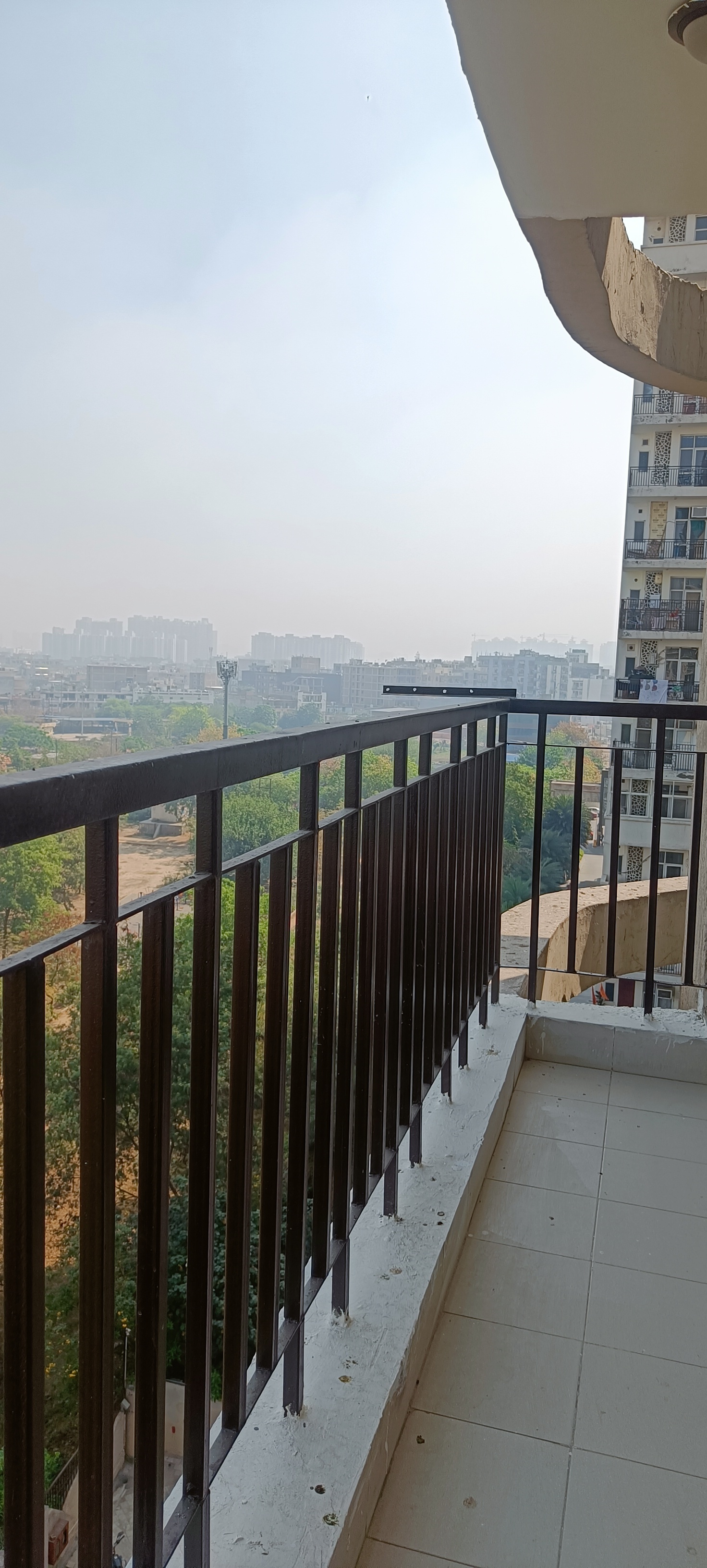 2 BHK Apartment For Rent in Aims Golf Avenue II Sector 75 Noida  6765705