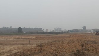 Commercial Land 70 Acre For Resale in Raipur Rani Panchkula  6766179