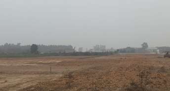 Commercial Land 70 Acre For Resale In Raipur Rani Panchkula 6766179