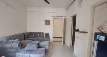 1 BHK Apartment For Rent in Maxblis Grand Wellington Sector 75 Noida 6766408