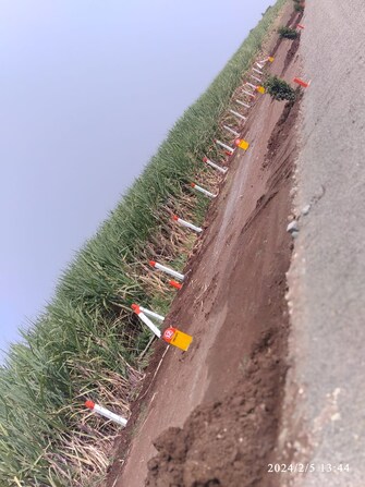 Plot For Resale in Malwadi Pune  6766989