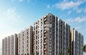 1 BHK Apartment For Resale in Evershine Amavi 303 Phase 3 Virar West Mumbai 6767020