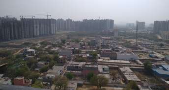  Plot For Resale in Noida Ext Sector 4 Greater Noida 6767087