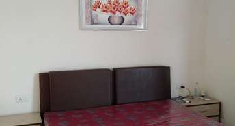 3 BHK Apartment For Rent in Barnala Riverdale Apartments Patiala Road Zirakpur 6767239