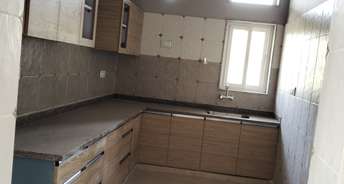 3 BHK Builder Floor For Rent in Sector 41 Noida 6767292