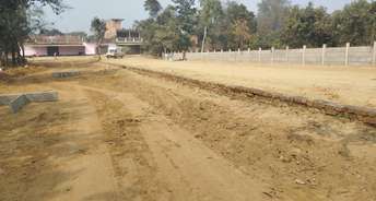  Plot For Resale in Sultanpur Road Lucknow 6767385