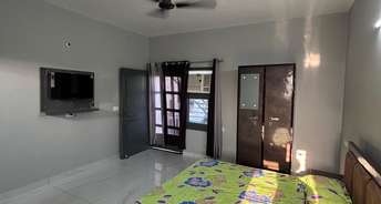 1 RK Apartment For Rent in Sunny Enclave Mohali 6767427