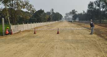  Plot For Resale in Sultanpur Road Lucknow 6767413